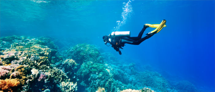 Diving in Egypt