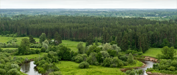 Landscape in Estonia