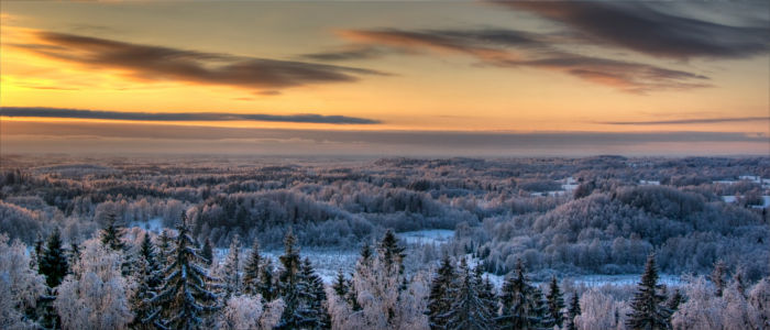 Winter in Estonia