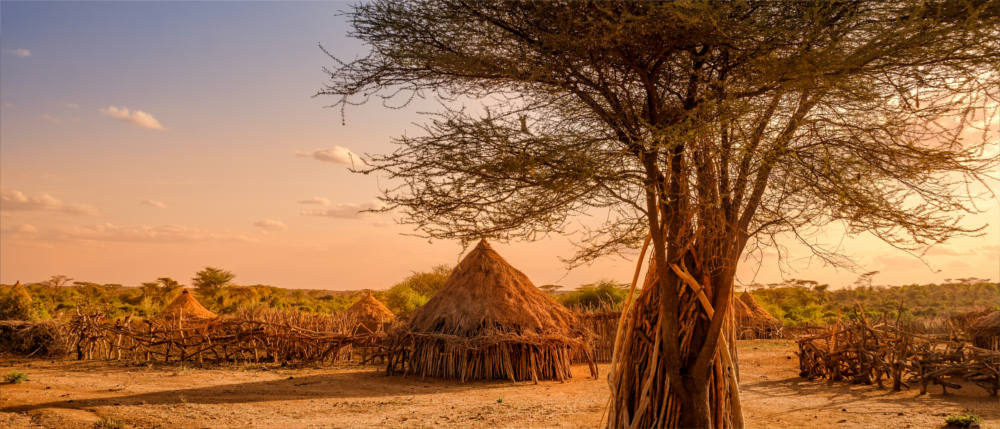Ethiopian huts