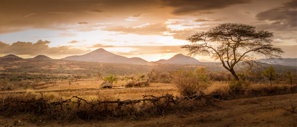 Ethiopian steppe