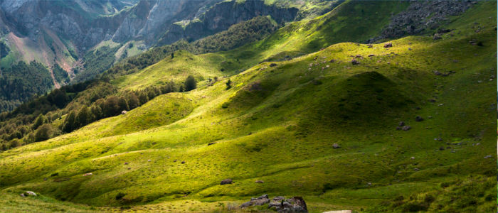 The French Alps