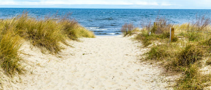 Sand dune at the Baltic Sea