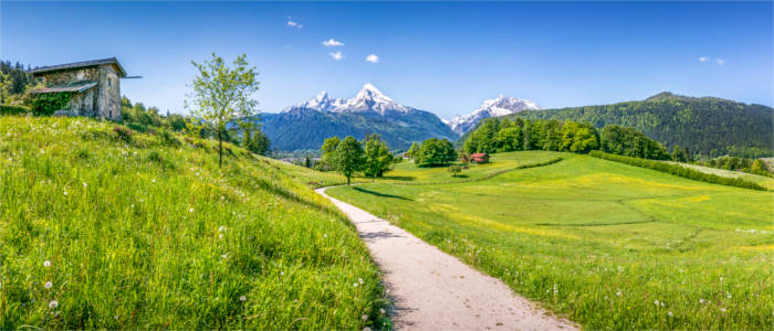 Meadows and pastures in the Free State of Bavaria