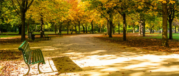 Park in Berlin