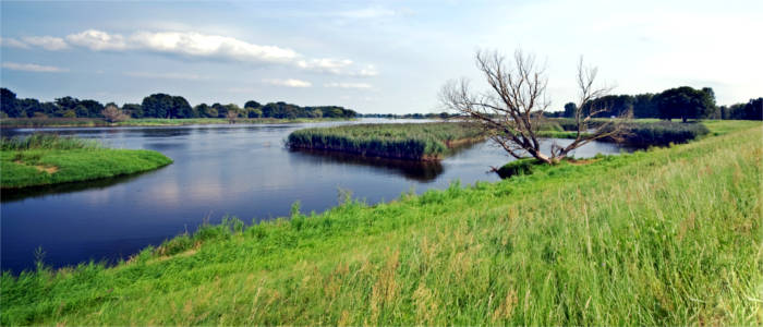 Typical water landscape in Brandenburg