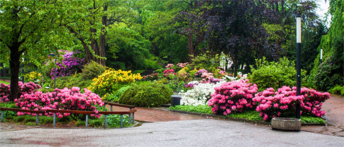 Park in Hamburg