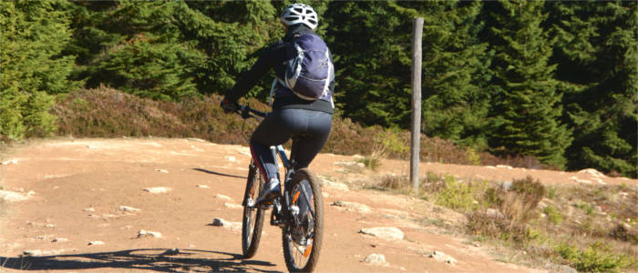 Cycling in the Harz