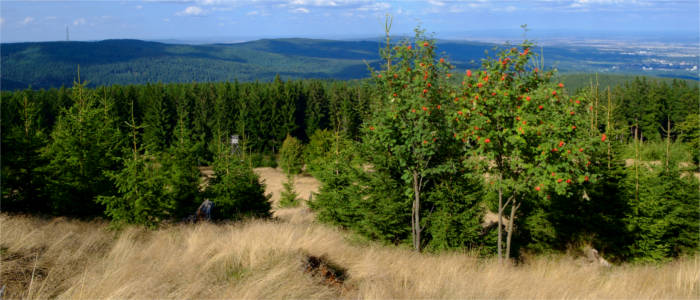 Typical landscape in Hesse