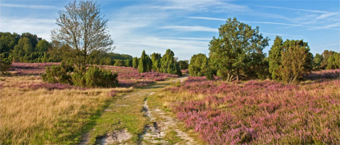 Landscape in Lower Saxony