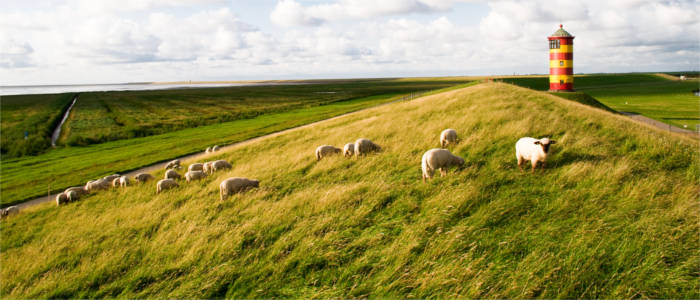 Typical landscape in Lower Saxony