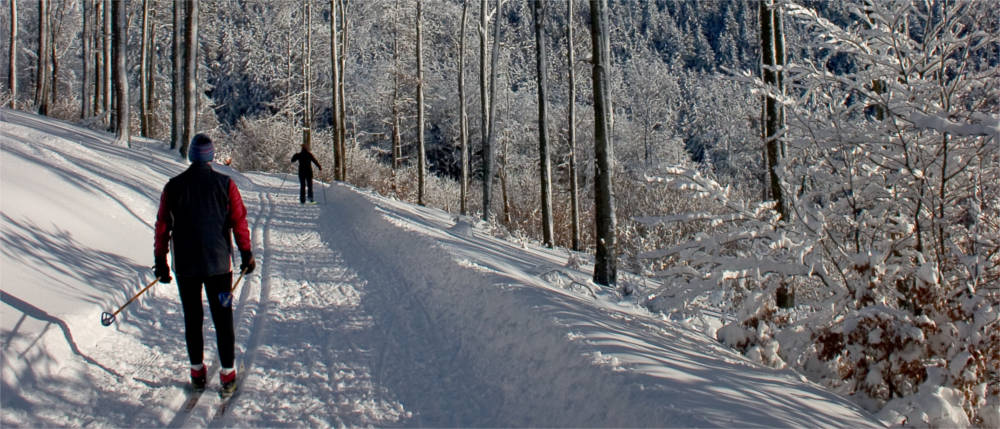 Skiing in the Thuringian Forest