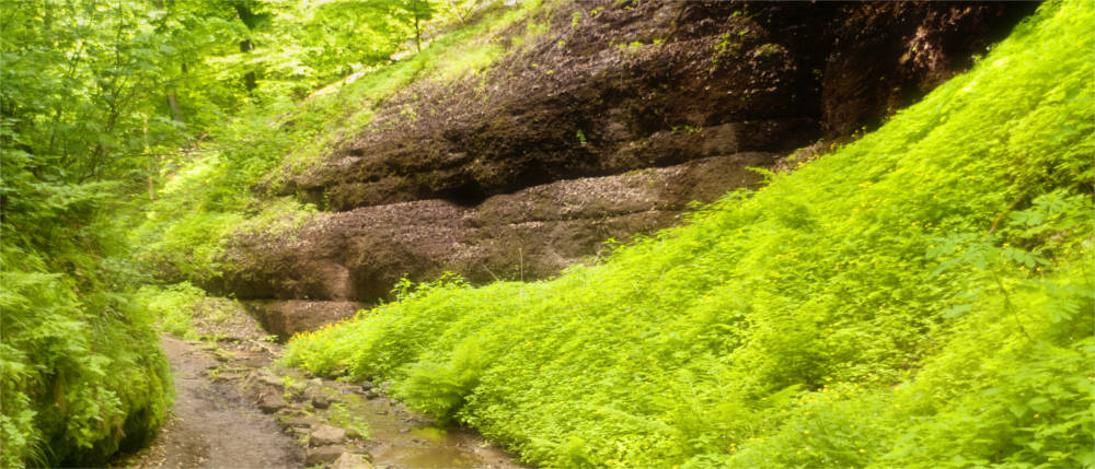 Forest and caves in the Thuringian Forest