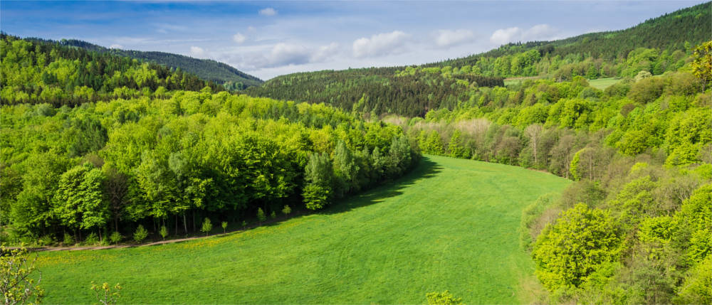 Green idyll of the Thuringian Forest