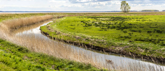 Lagoon on Usedom