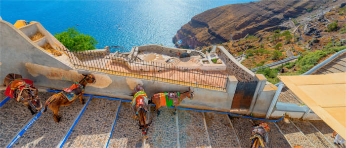 Santorini and the characteristic donkeys