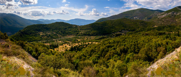 Vegetation on Kefalonia in the Ionian Islands