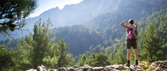 Hiking paradise on the island of Thasos