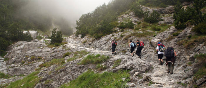 Hiking trail in the Olympus Range
