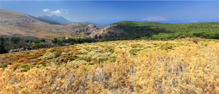 Attavyros on Rhodes