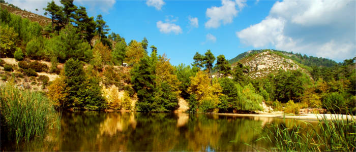 Typical vegetation on Thassos