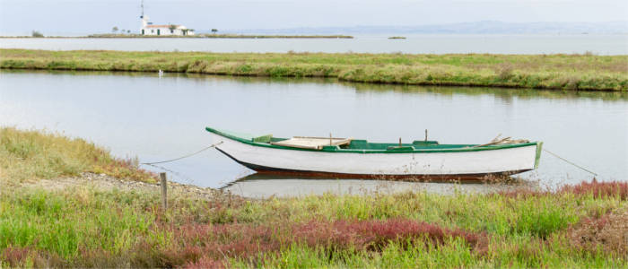 Delta of the Axios river