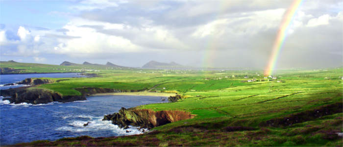 Green meadows and cliffs in Ireland