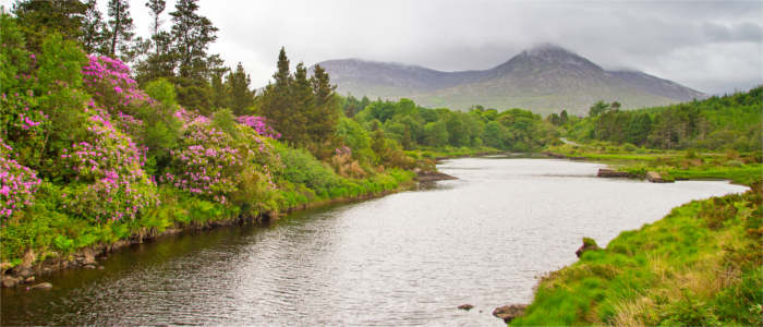 The Mountains of Connemara in Irland