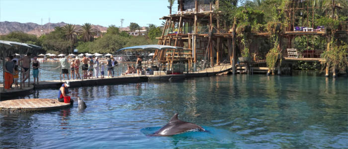 Dolphin Park in Israel - Eilat