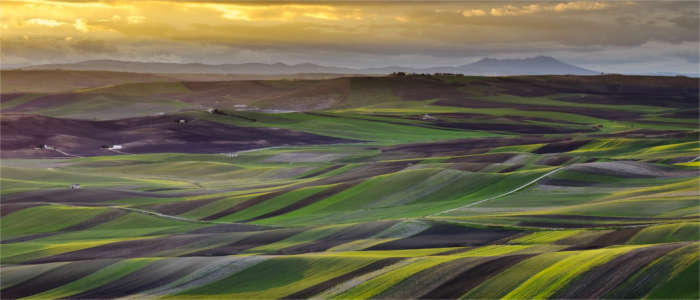 Apulia's landscape