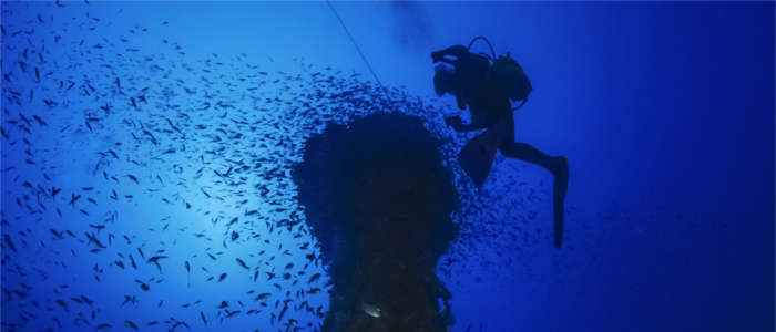 Diver in Calabria