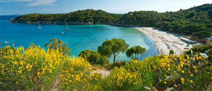 Landscape on Elba