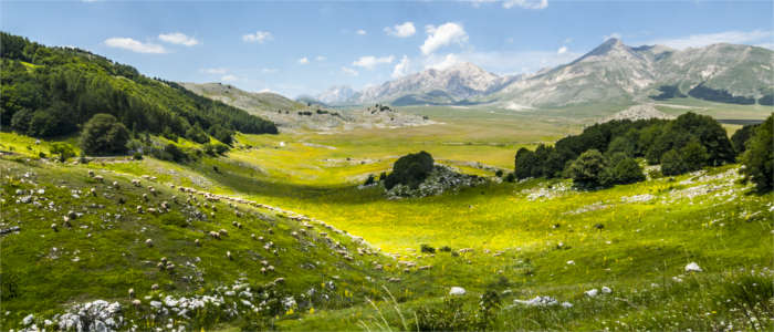High plateau in the national park in Abruzzo