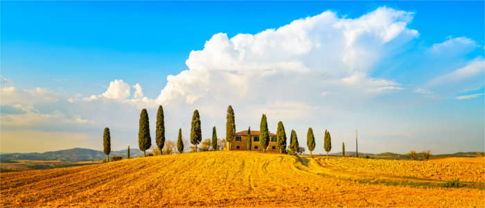 Famous valley in Tuscany