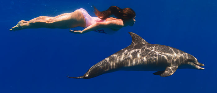 Swimming with dolphins in Jamaica