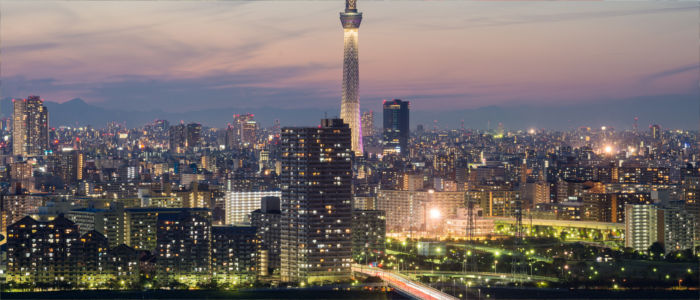 Japan's capital Tokyo