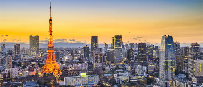 View of Tokyo