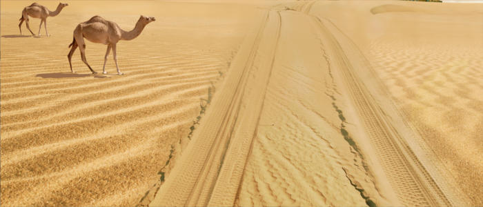 Desert adventures in Kuwait