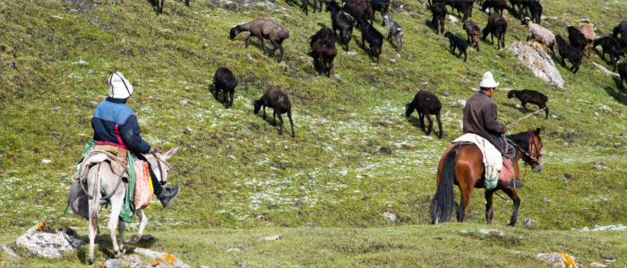 Kyrgyz people, pastoral people in Kyrgyzstan