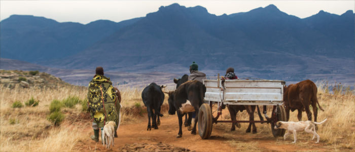 Life of the people in Lesotho