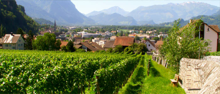 Wine culture in Liechtenstein