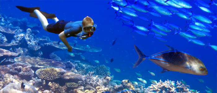 Diving in Mauritius