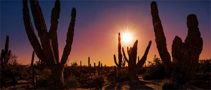 Mexico's landscape