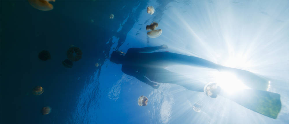 Diving in Micronesia