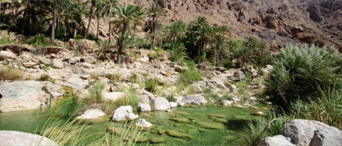 Oases in the Middle East