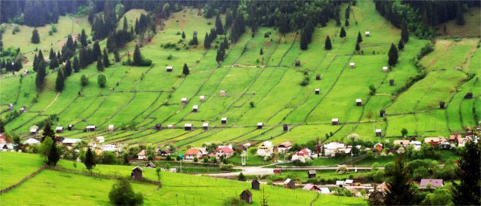 Green landscape in Moldova