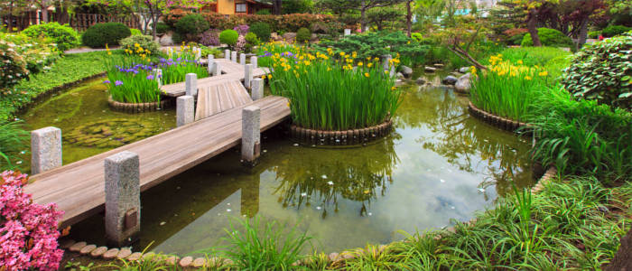 Monaco's Japanese Garden