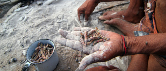 Exotic Food in Namibia