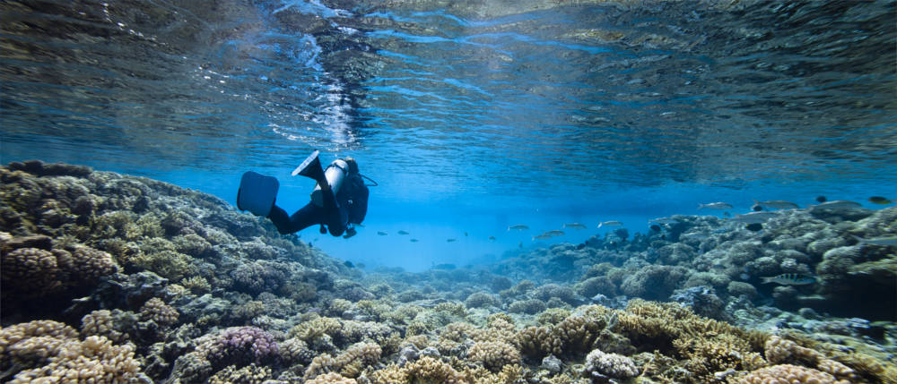 New Caledonia - diving