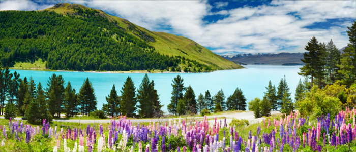 The Fiordland in New Zealand